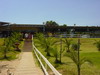 THUMB_DSC04299_p.JPG